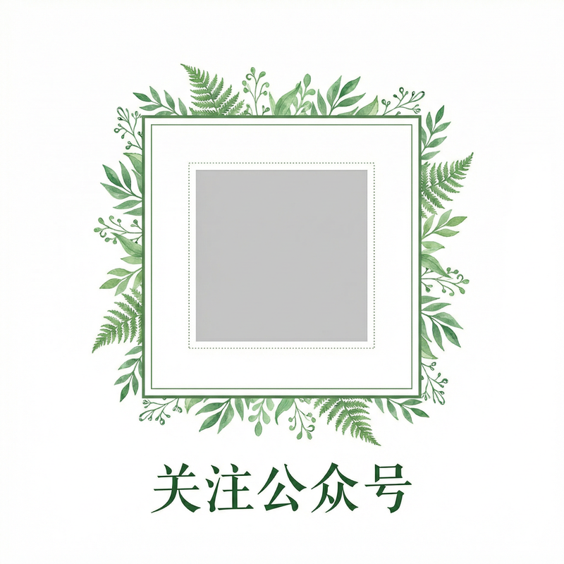 大奶公众号二维码